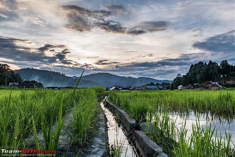 Ground Ziro - The 2019 Dree Festival (Arunachal Pradesh)-20190705_dsf9256hdr.jpg