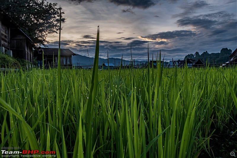 Ground Ziro - The 2019 Dree Festival (Arunachal Pradesh)-20190705_dsf9275hdr.jpg