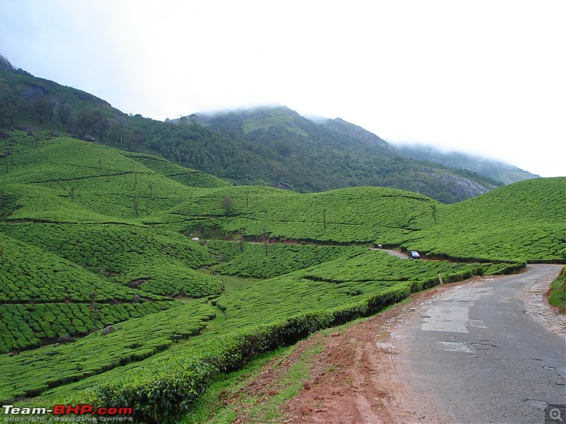 Bangalore  Munnar /Thekkady /Kochi in Swift D..-dsc08724.jpg