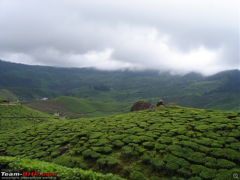 Bangalore  Munnar /Thekkady /Kochi in Swift D..-dsc08737.jpg