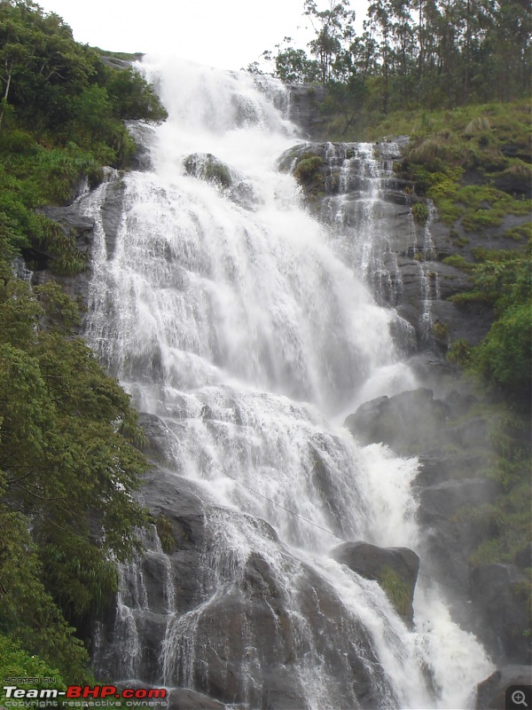 Bangalore  Munnar /Thekkady /Kochi in Swift D..-dsc08748.jpg