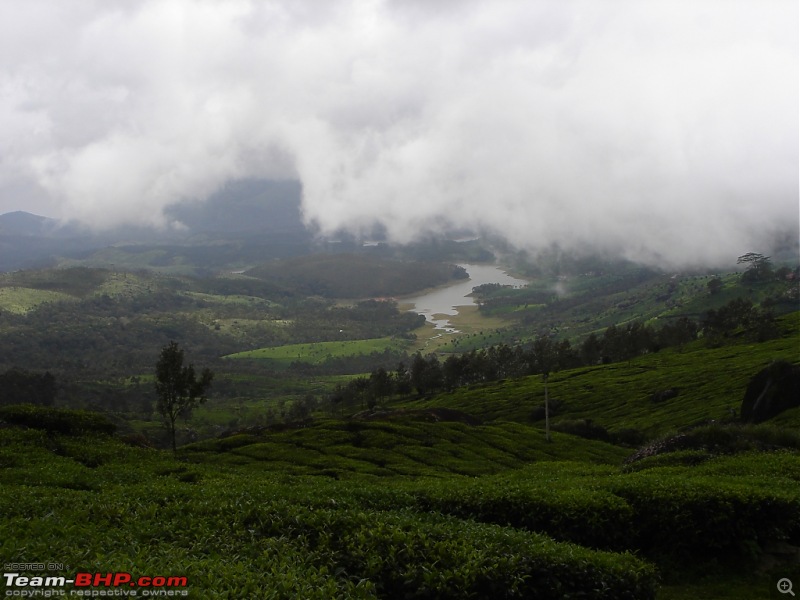 Bangalore  Munnar /Thekkady /Kochi in Swift D..-dsc08764.jpg