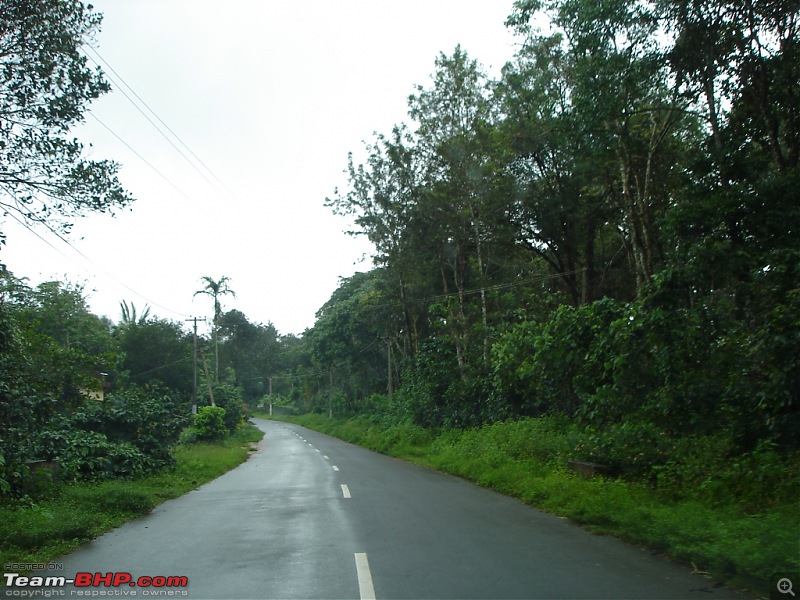 Bangalore  Munnar /Thekkady /Kochi in Swift D..-dsc08770.jpg