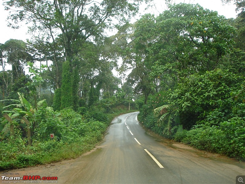 Bangalore  Munnar /Thekkady /Kochi in Swift D..-dsc08771.jpg