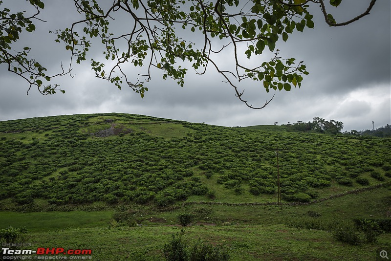 Vagamon Diaries: A Thrilling Endeavour-vagamon007.jpg