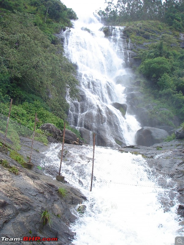 Bangalore  Munnar /Thekkady /Kochi in Swift D..-dsc08760.jpg