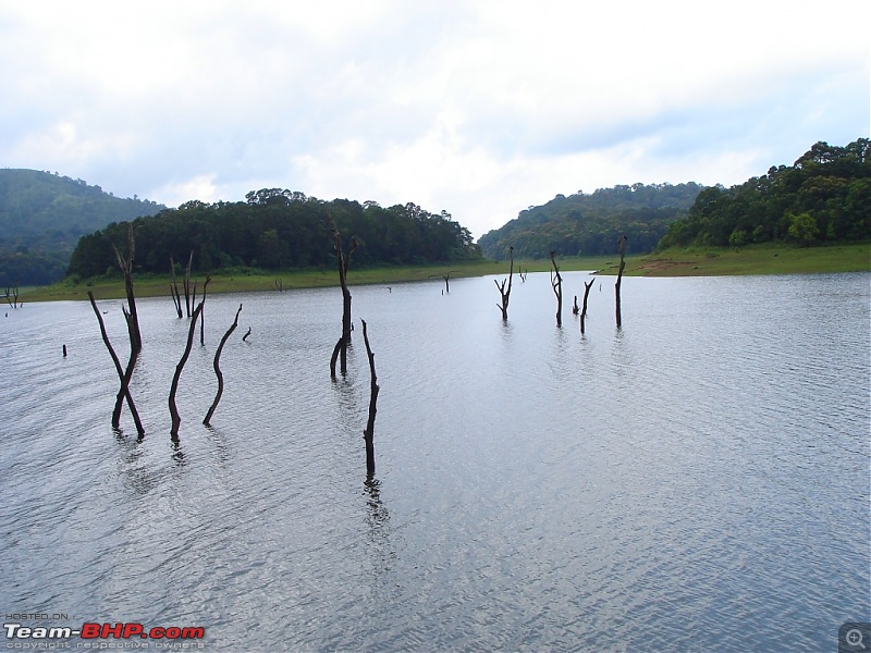 Bangalore  Munnar /Thekkady /Kochi in Swift D..-dsc08815.jpg