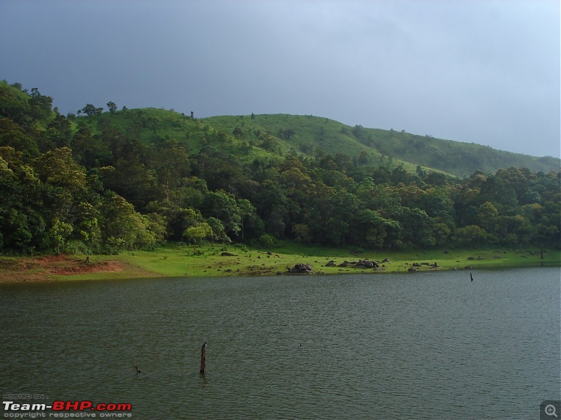 Bangalore  Munnar /Thekkady /Kochi in Swift D..-dsc08818.jpg