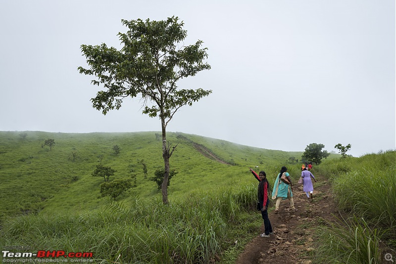 Vagamon Diaries: A Thrilling Endeavour-vagamon155.jpg