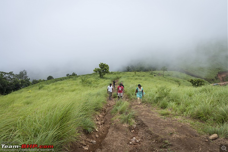 Vagamon Diaries: A Thrilling Endeavour-vagamon156.jpg