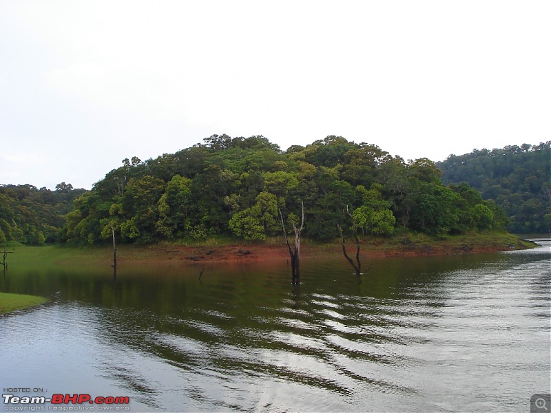 Bangalore  Munnar /Thekkady /Kochi in Swift D..-dsc08838.jpg