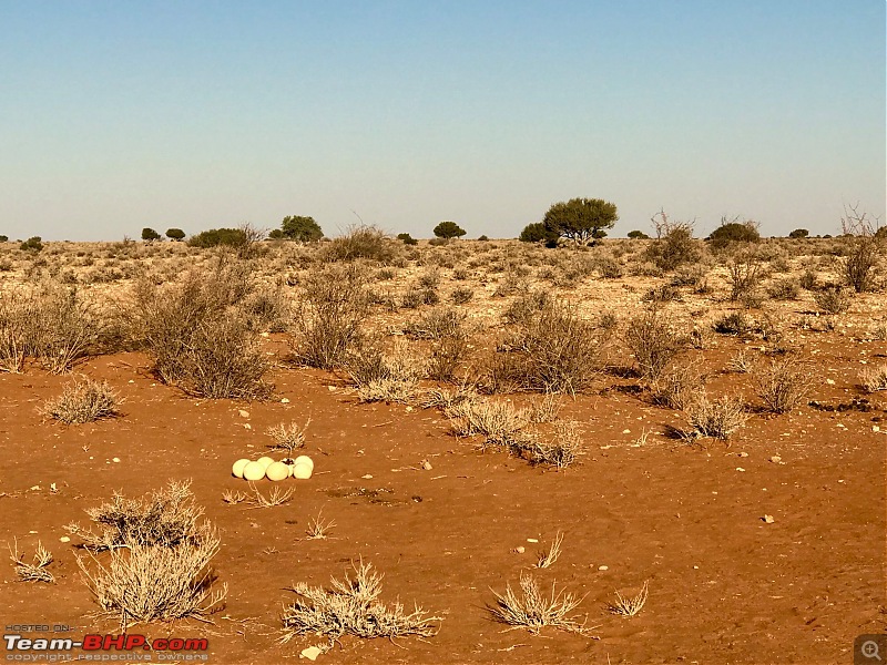 Southern Africa: Namibia road-trip in a Toyota Hilux-15.jpg