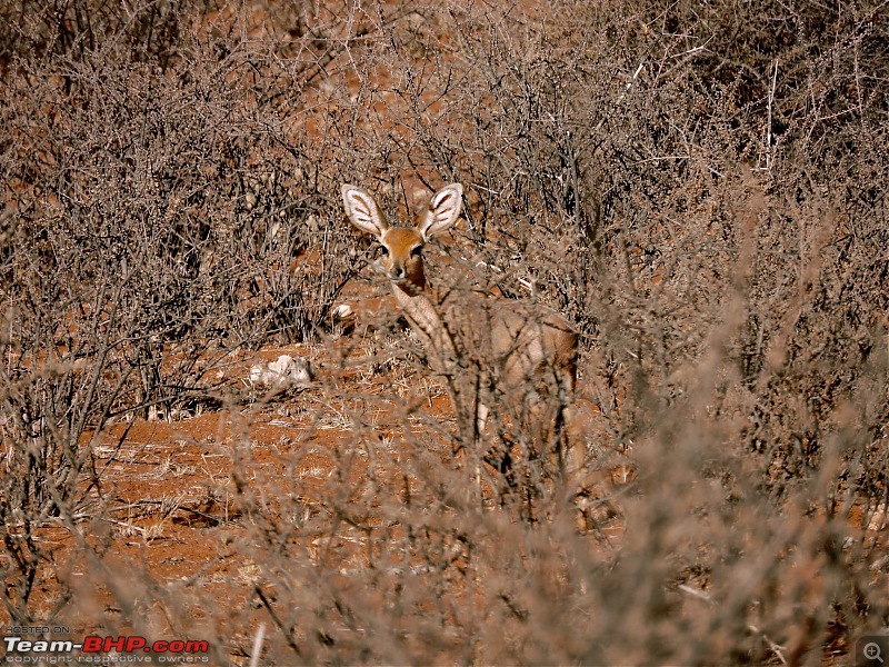 Southern Africa: Namibia road-trip in a Toyota Hilux-26.jpg