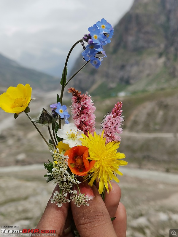 Hampta Pass Trek  My first taste of the mighty Himalayas-img_20190725_092951.jpg