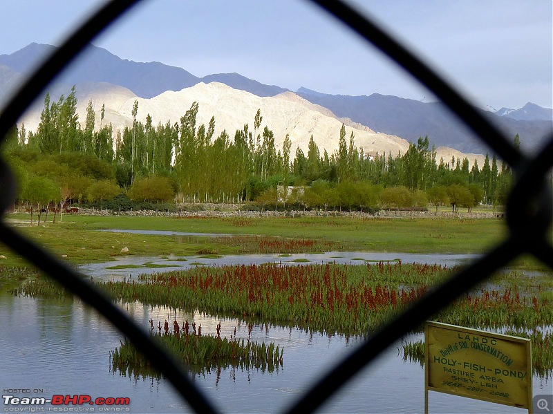 The mother of all trips: Exploration Ladakh, destination Leh-p1020174.jpg