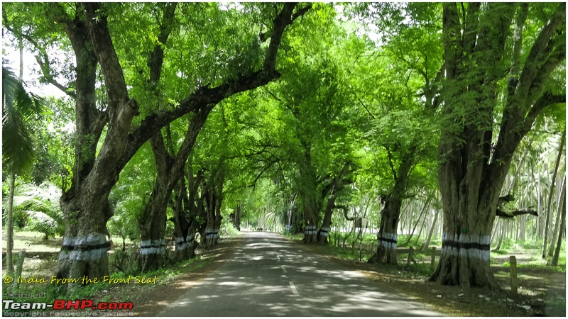 S-Cross'd : Kodaikanal (without visiting it) and a walk to Munnar-img_20190607_130755edit.jpg