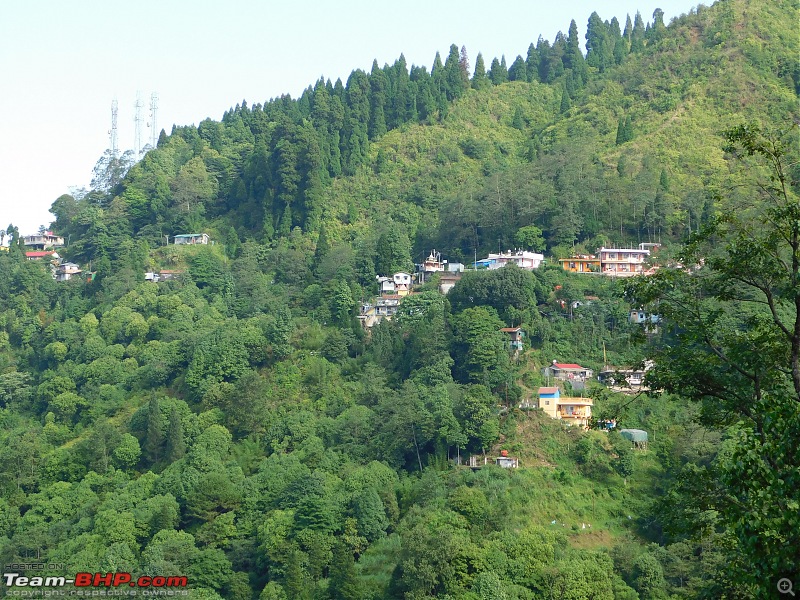 Kalyani to Kalimpong : A road-trip to the hills of Bengal-dscn4963.jpg