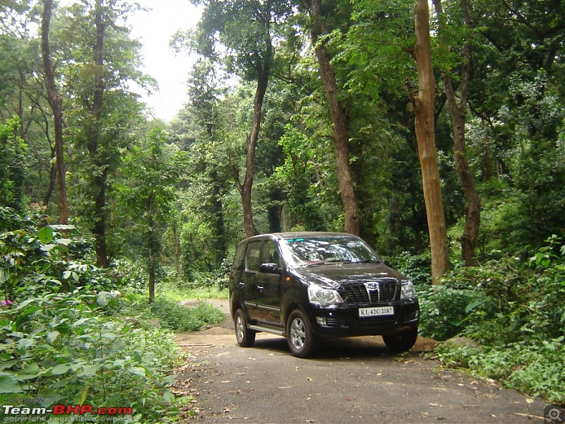 4 men, a xylo and trekking in silent valley-picture-053.jpg