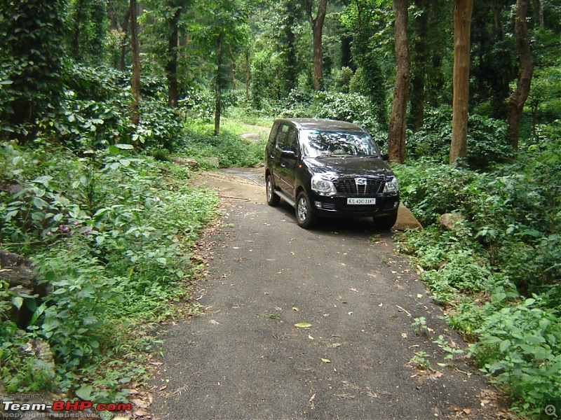 4 men, a xylo and trekking in silent valley-picture-054.jpg