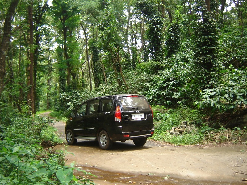 4 men, a xylo and trekking in silent valley-picture-055.jpg