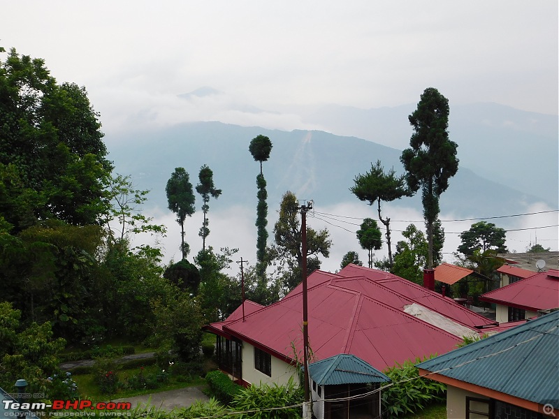 Kalyani to Kalimpong : A road-trip to the hills of Bengal-dscn3722.jpg