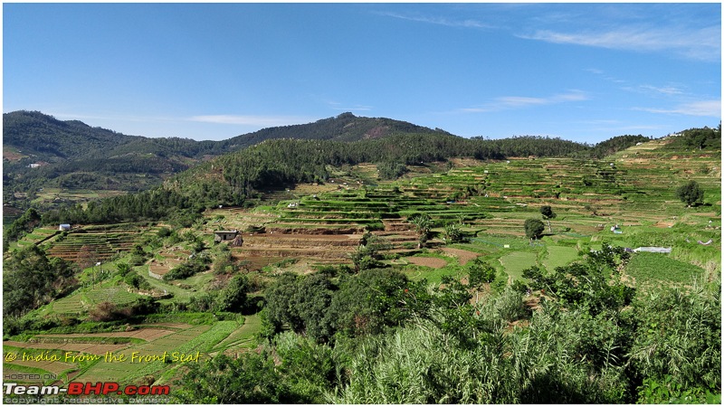 S-Cross'd : Kodaikanal (without visiting it) and a walk to Munnar-img_20190608_084940edit.jpg