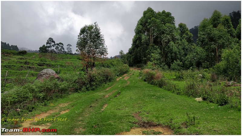 S-Cross'd : Kodaikanal (without visiting it) and a walk to Munnar-img_20190608_131757edit.jpg