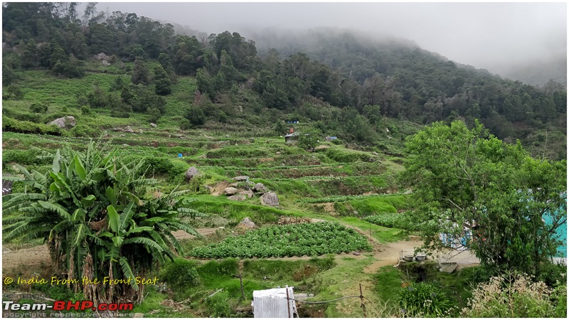 S-Cross'd : Kodaikanal (without visiting it) and a walk to Munnar-img_20190608_132038edit.jpg