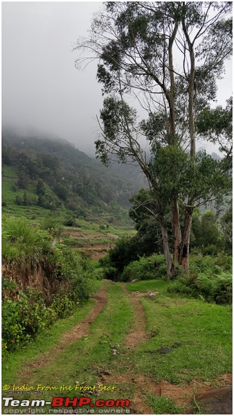 S-Cross'd : Kodaikanal (without visiting it) and a walk to Munnar-img_20190608_132518edit.jpg