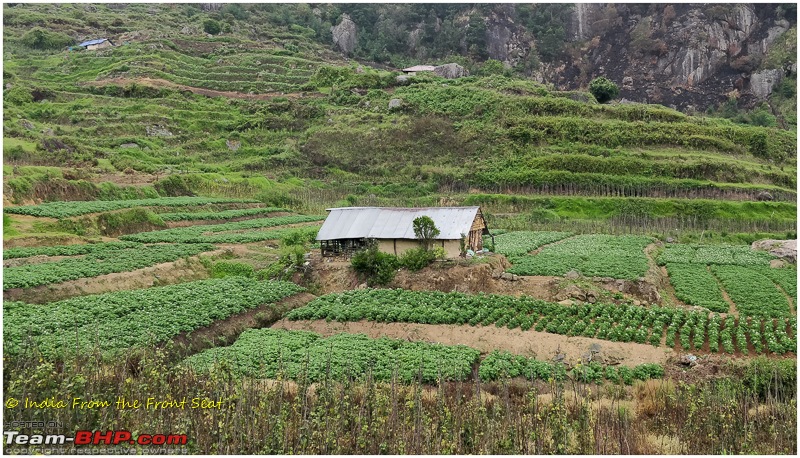 S-Cross'd : Kodaikanal (without visiting it) and a walk to Munnar-img_20190608_132848edit.jpg