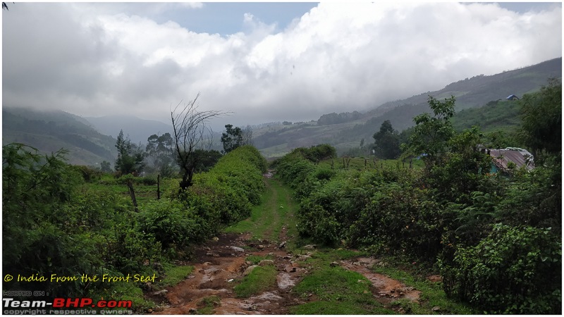 S-Cross'd : Kodaikanal (without visiting it) and a walk to Munnar-img_20190608_133203edit.jpg