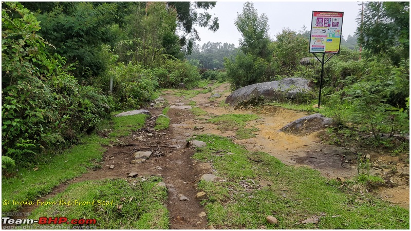 S-Cross'd : Kodaikanal (without visiting it) and a walk to Munnar-img_20190608_133250edit.jpg
