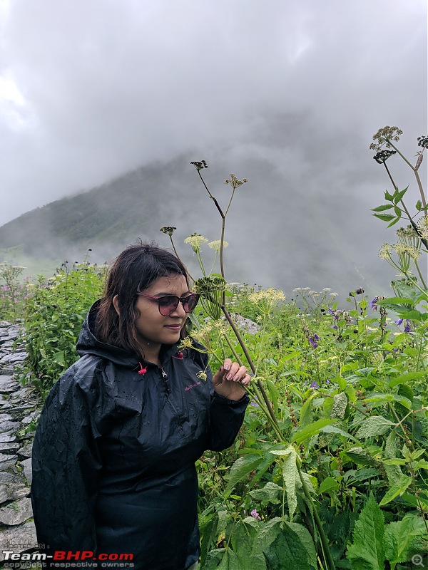 Trek to Valley of Flowers, Uttarakhand-img_20190817_104223.jpg