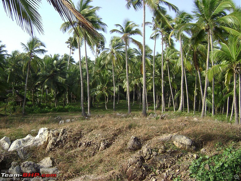 Photoblog of destinations in & around Trivandrum, Kerala-dsc04098.jpg