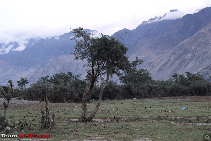 An adventure honeymoon: 1500 km bike ride through the Himalayas!-img_2435.jpg