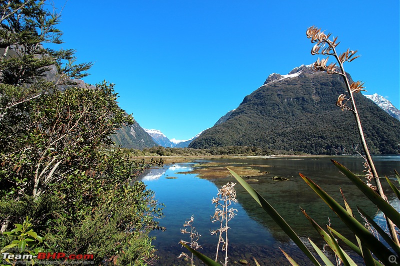 Down Under: Trip to Australia and a 2000 km road-trip within New Zealand's South Island-img_1581.jpg