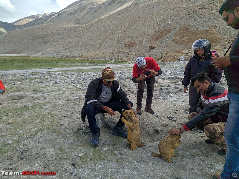 An adventure honeymoon: 1500 km bike ride through the Himalayas!-img_20190728_160926.jpg