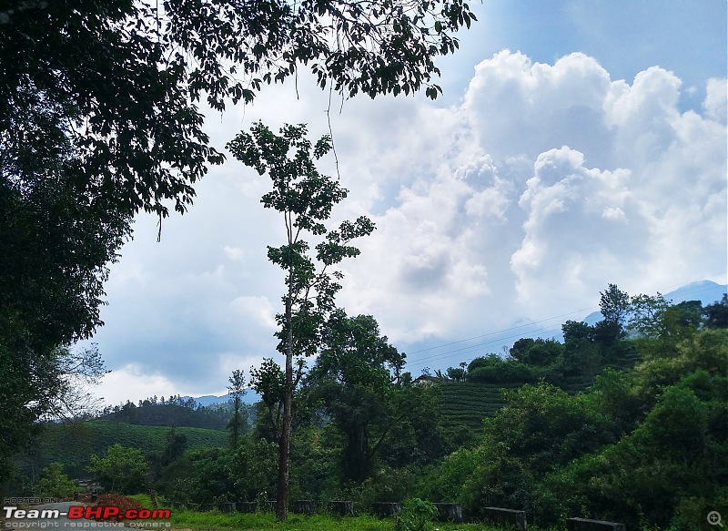 Hyderabad to Wayanad & Kappad Beach-sp1-2.jpg