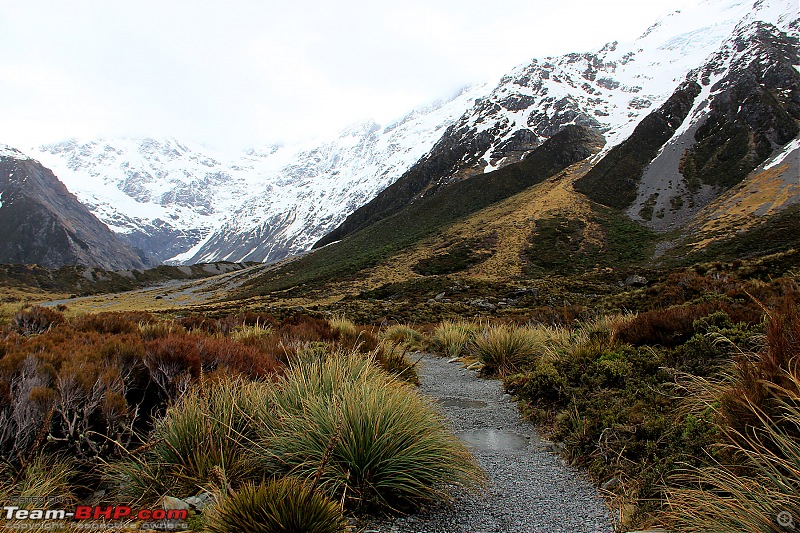 Down Under: Trip to Australia and a 2000 km road-trip within New Zealand's South Island-img_3985.jpg