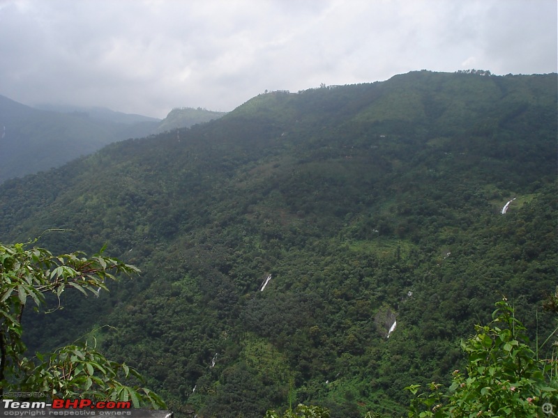 Bangalore  Munnar /Thekkady /Kochi in Swift D..-dsc08901.jpg