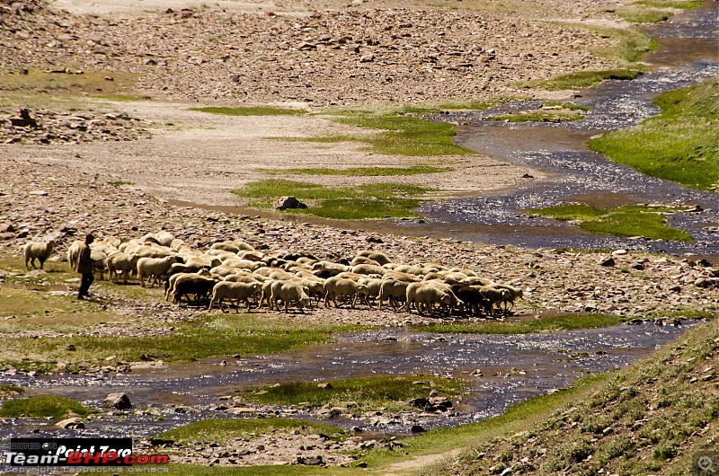 On the road again! Spiti Valley, Himachal Pradesh-tkd_1688.jpg