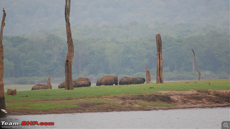 My 1st visit to Kabini - Amidst the Wilderness-p1050890.jpg