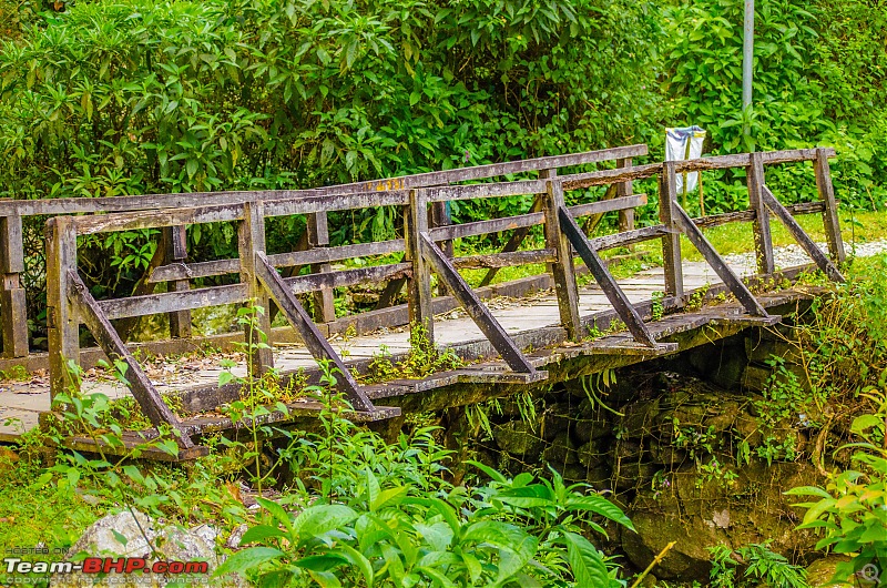 Dooars & Purulia-_dsc8768.jpg