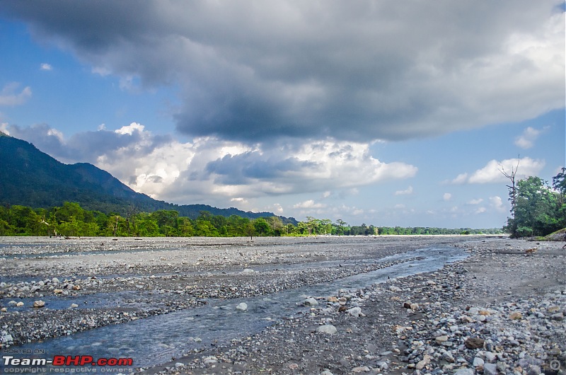 Dooars & Purulia-_dsc8820.jpg