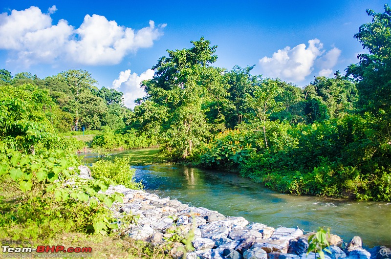 Dooars & Purulia-_dsc8837.jpg