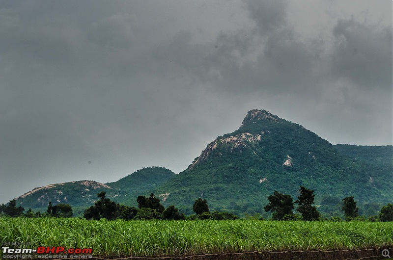 Dooars & Purulia-_dsc8733.jpg