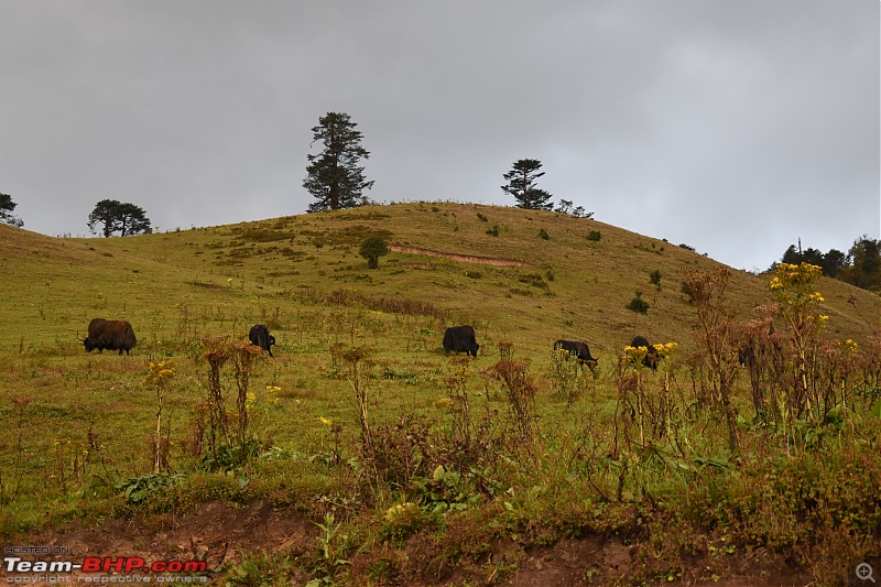 Exploring Bhutan in a Tata Nexon-dsc_0654.jpg