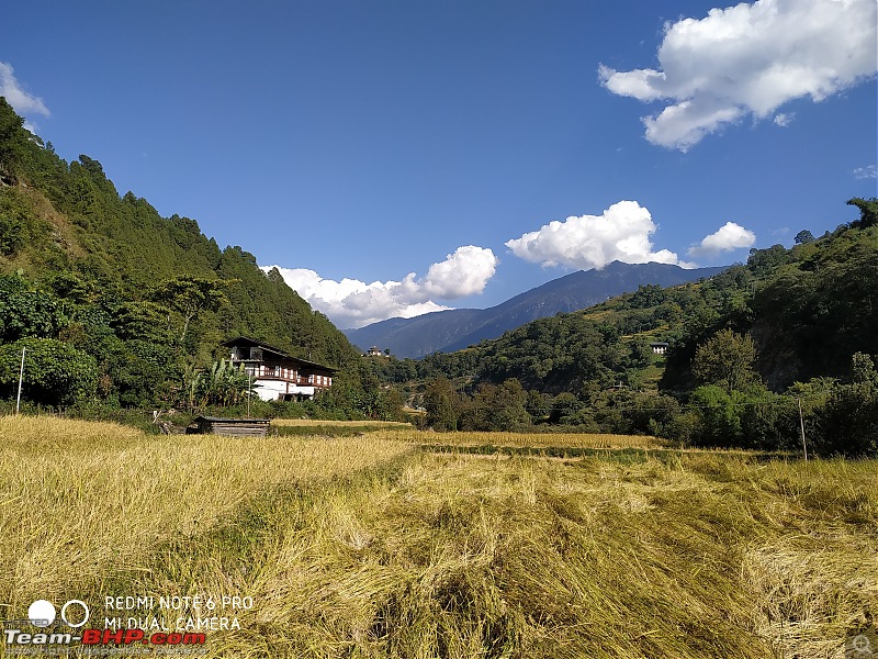 Exploring Bhutan in a Tata Nexon-15.jpg