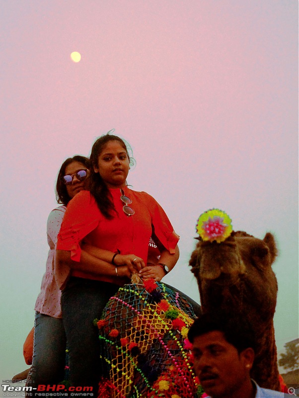 Ciazzler Roadtrip | Pushkar Camel Fair - A Photologue-1pushkar-10.jpg