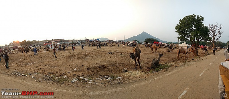 Ciazzler Roadtrip | Pushkar Camel Fair - A Photologue-img_20191110_072947287.jpg